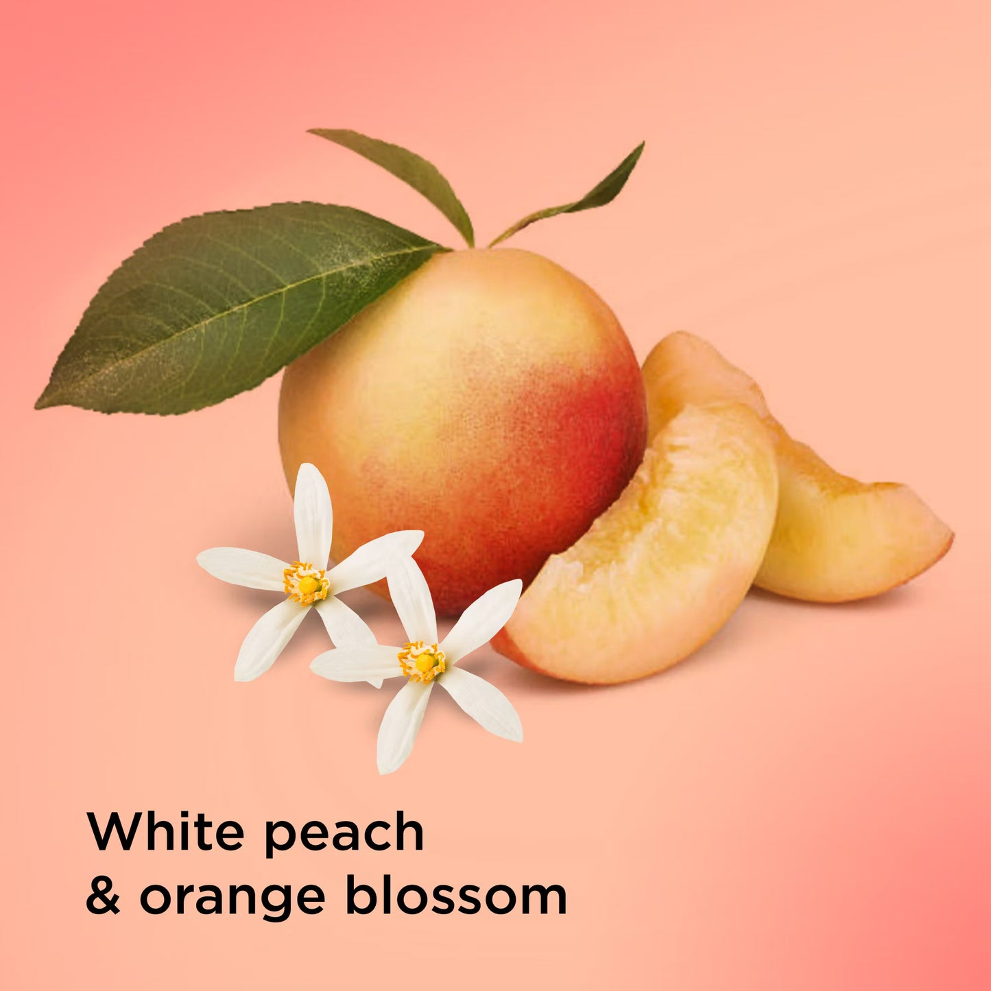 Caress Daily Silk Bar Soap 3.75 oz (16 Pack) – White Peach & Orange Blossom, Moisturizing & Silky Smooth Skin