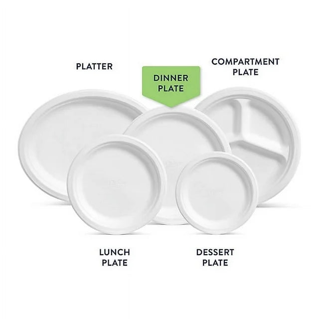Chinet Classic White Paper Plates, 10-3/8", Heavy Duty, 165-Count – Disposable Dinner Plates for Parties & Everyday Use